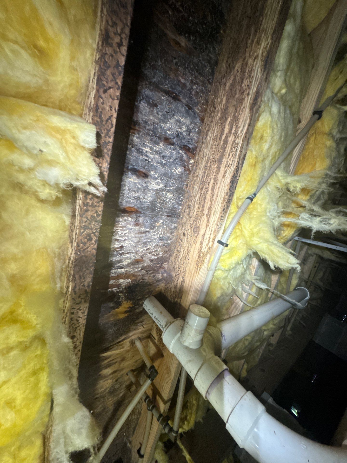 Project in Suffolk by Patriot Crawl Space Repairs