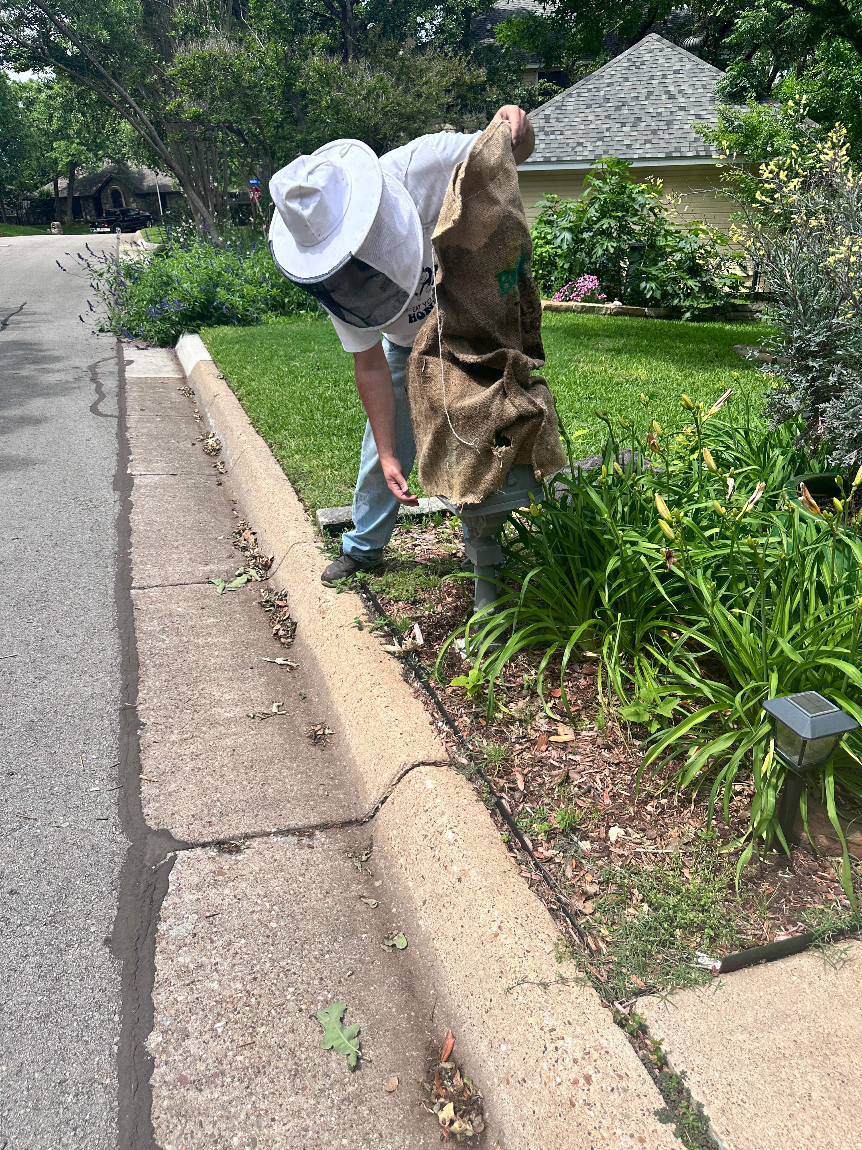 Postal Swarm by Rockwall Honey Bee Company