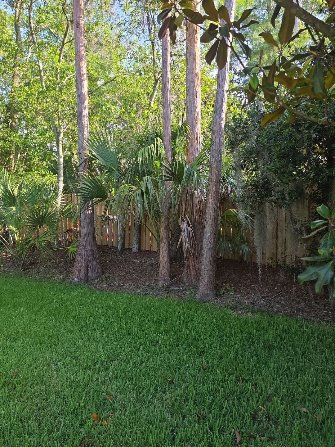 Deerwood Resident | Tree Trimming by ProGreen Services