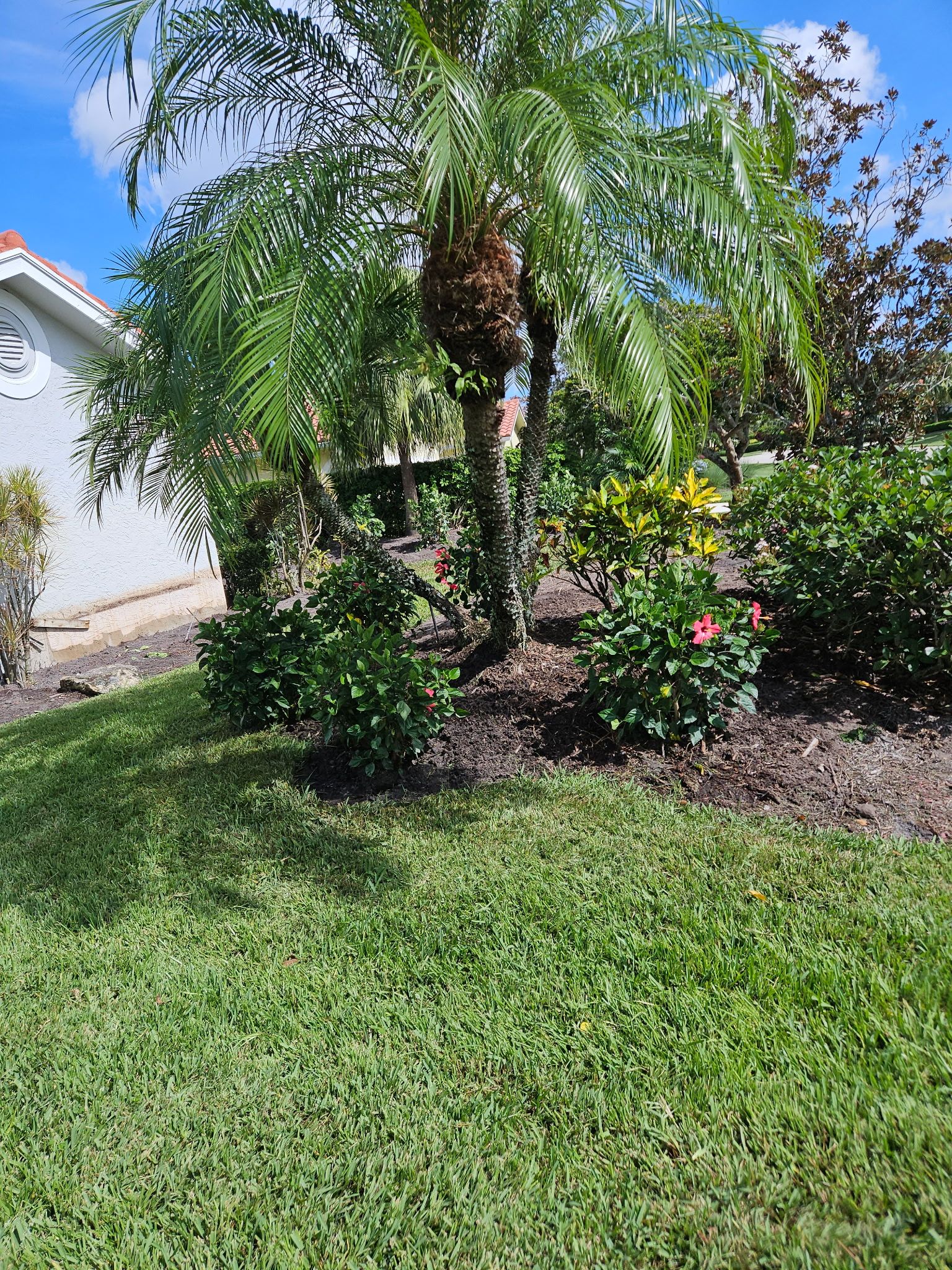 🌴 “Harbour Ridge Haven – A Tropical Revival by Alpha Zeta Landscapes” by Alpha Zeta Enterprises Inc