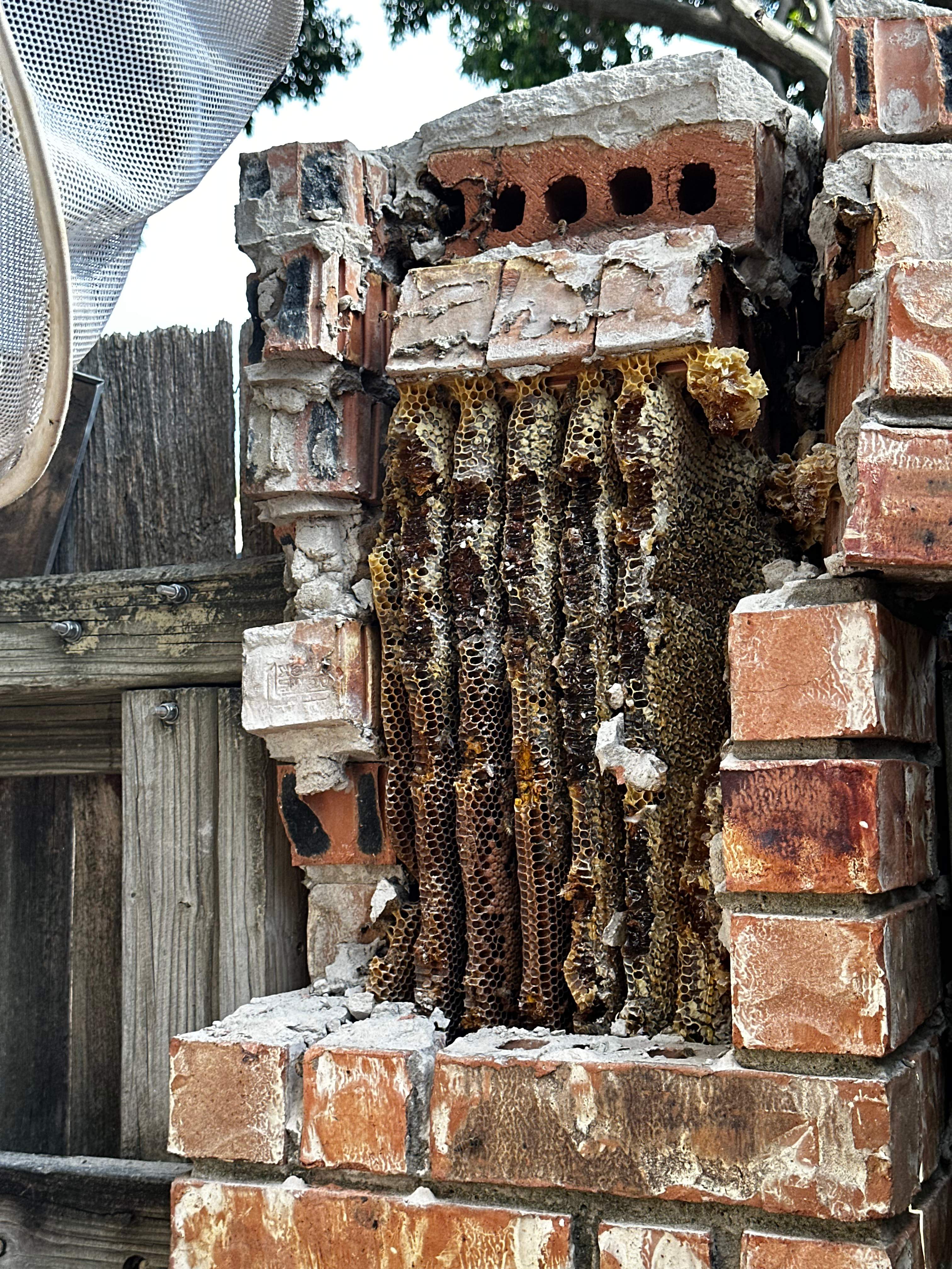 Brick Column by Rockwall Honey Bee Company
