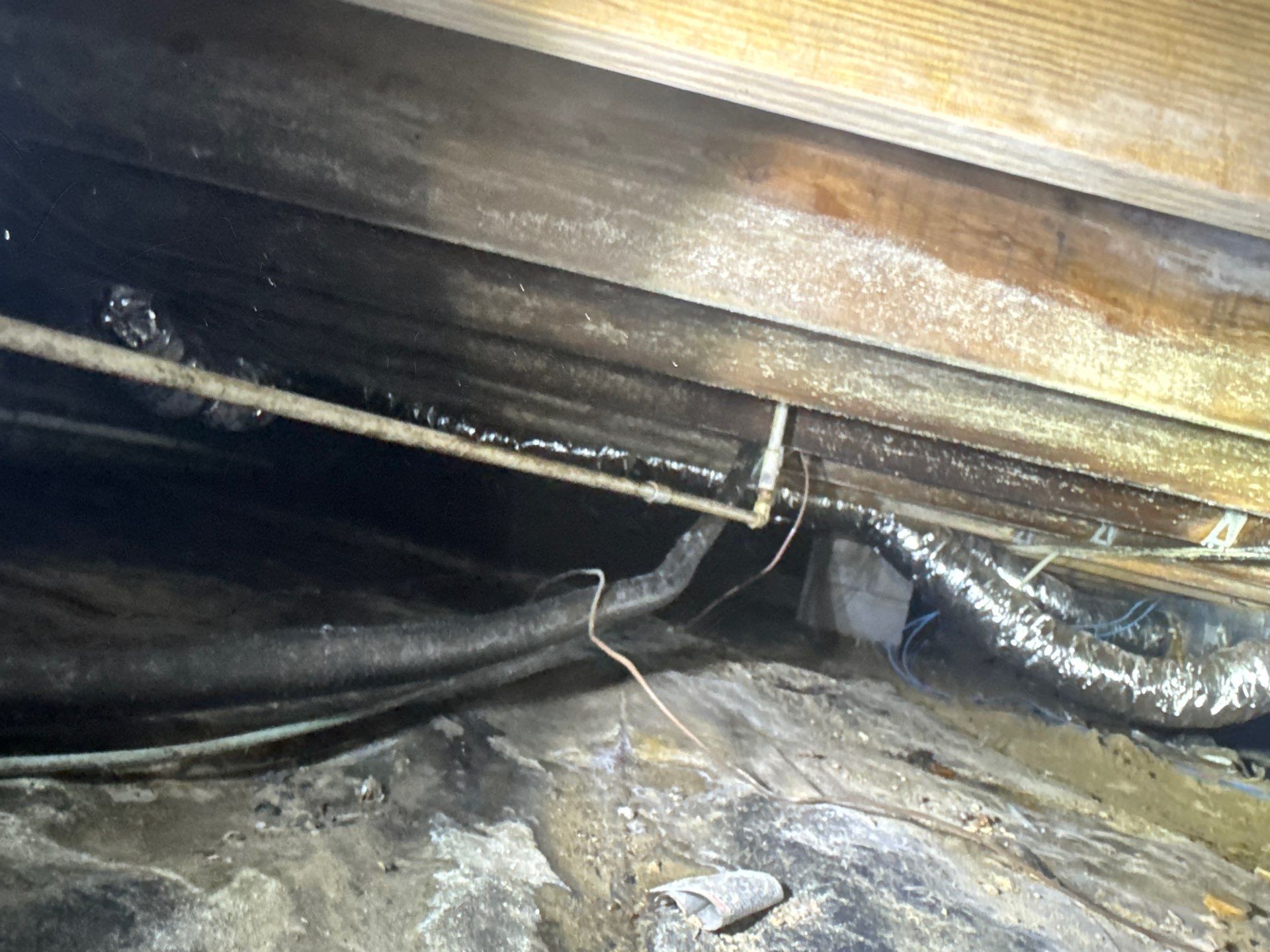 Project in Carrsville by Patriot Crawl Space Repairs