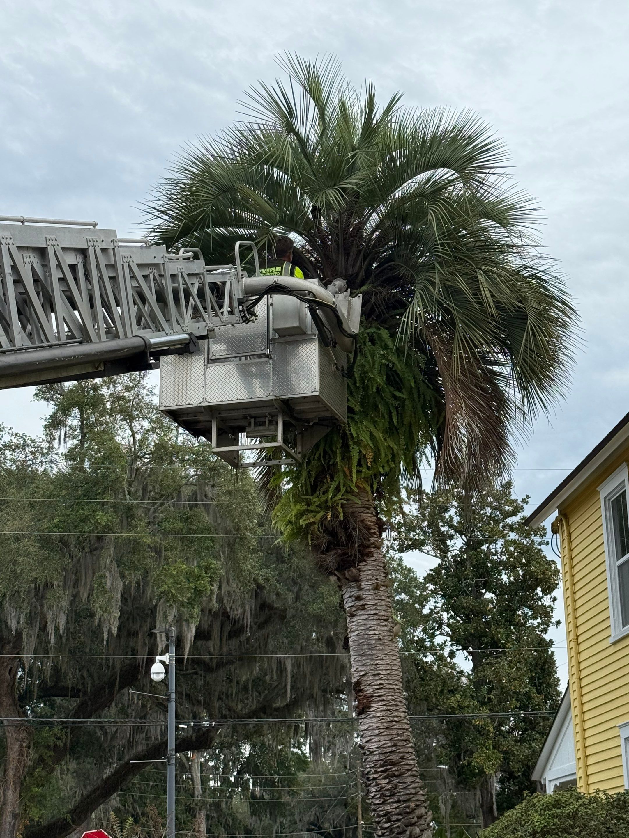 Volunteer Work | Episcopal High School of Jacksonville by ProGreen Services