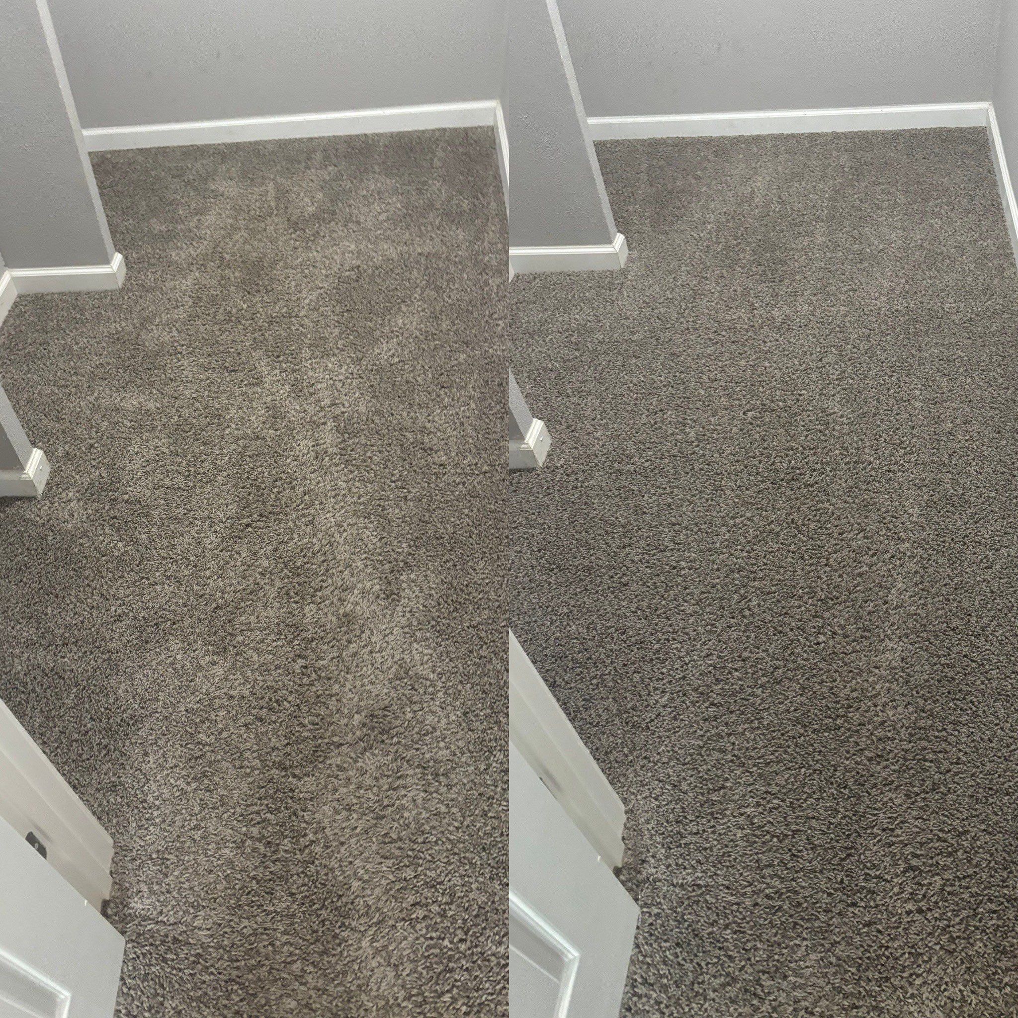 the service shown is deep carpet cleaning restoring the carpet's appearance and removing dirt and stains