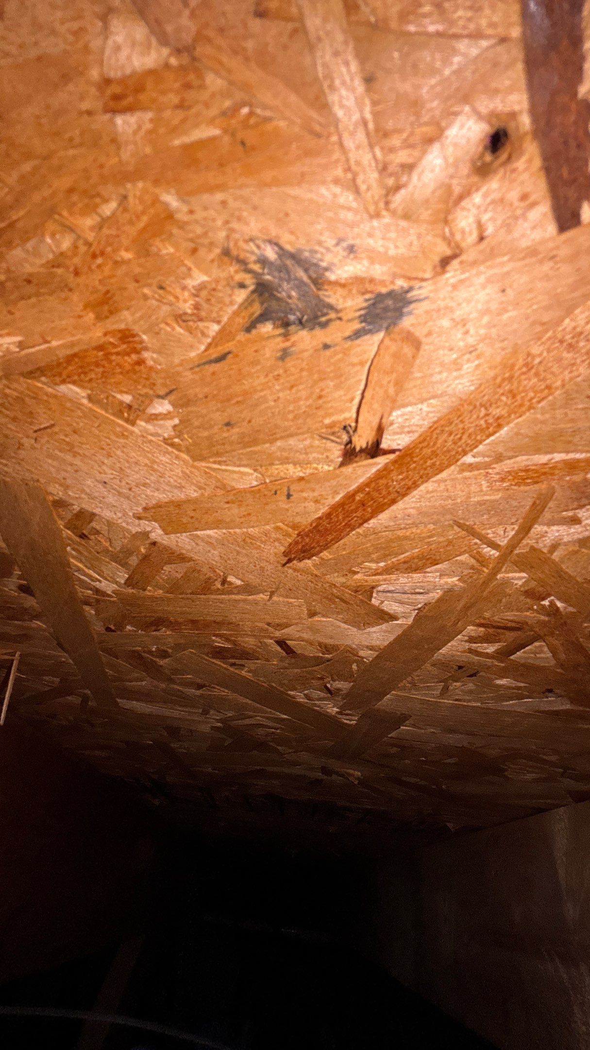 Roof Replacement using Owens Corning Driftwood by 180 Contractors