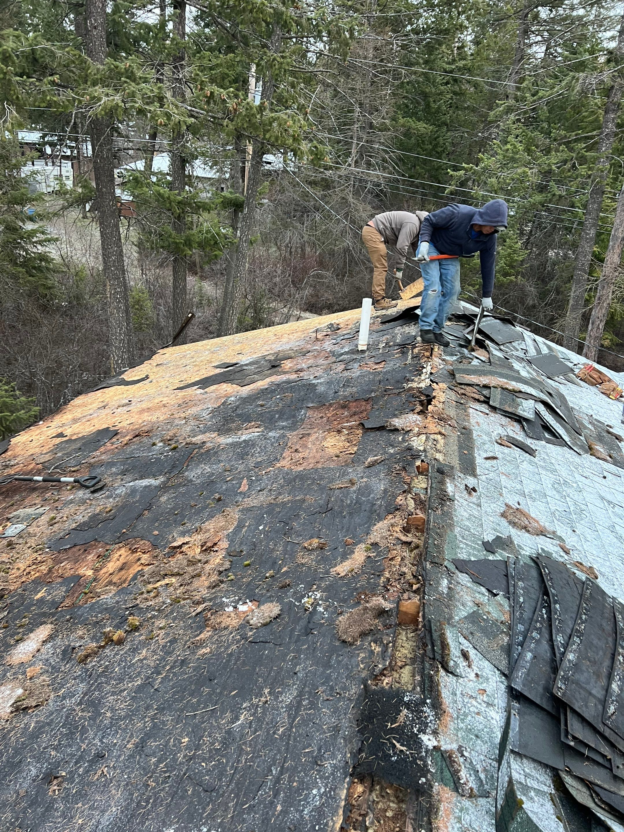 GAF Timberline HDZ - Hunter Green by Montana Roofing Solutions