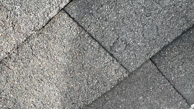 Turtle Shell gutter protection installation in Naperville, IL 60563, photograph 35