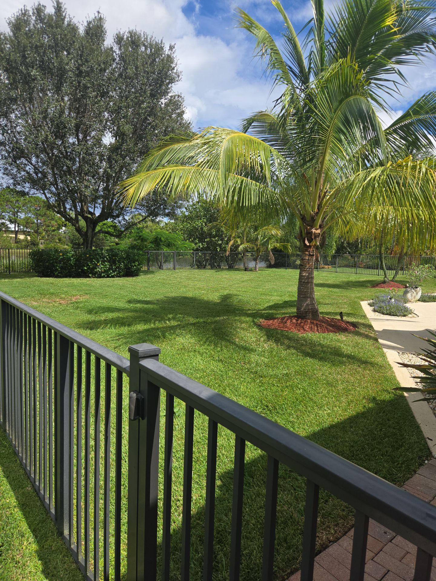 🌴✨ HAMMOCK CREEK SIGNATURE CLEANUP — THE ALPHA ZETA WAY ✨🌴 by Alpha Zeta Enterprises Inc