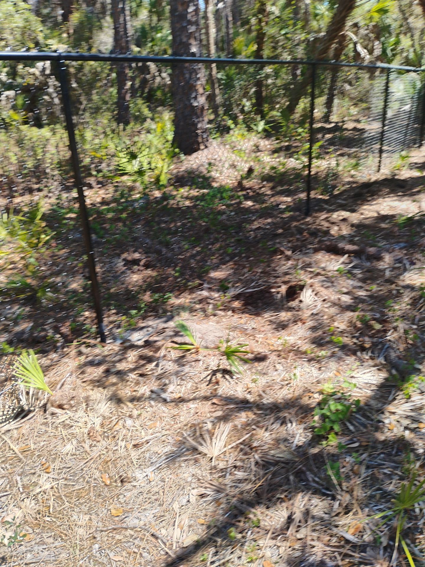Chain Link Install in North Port by True Fence LLC
