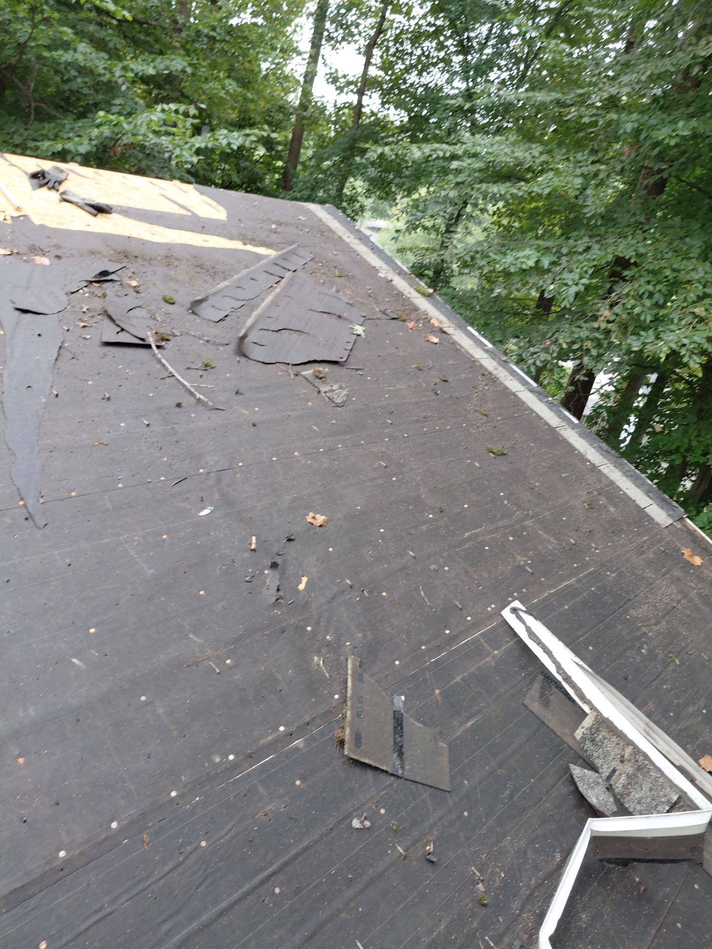 Springfield : with CertainTeed Landmark Pro in Max Def Cobblestone Gray  by RM Banning, Inc.