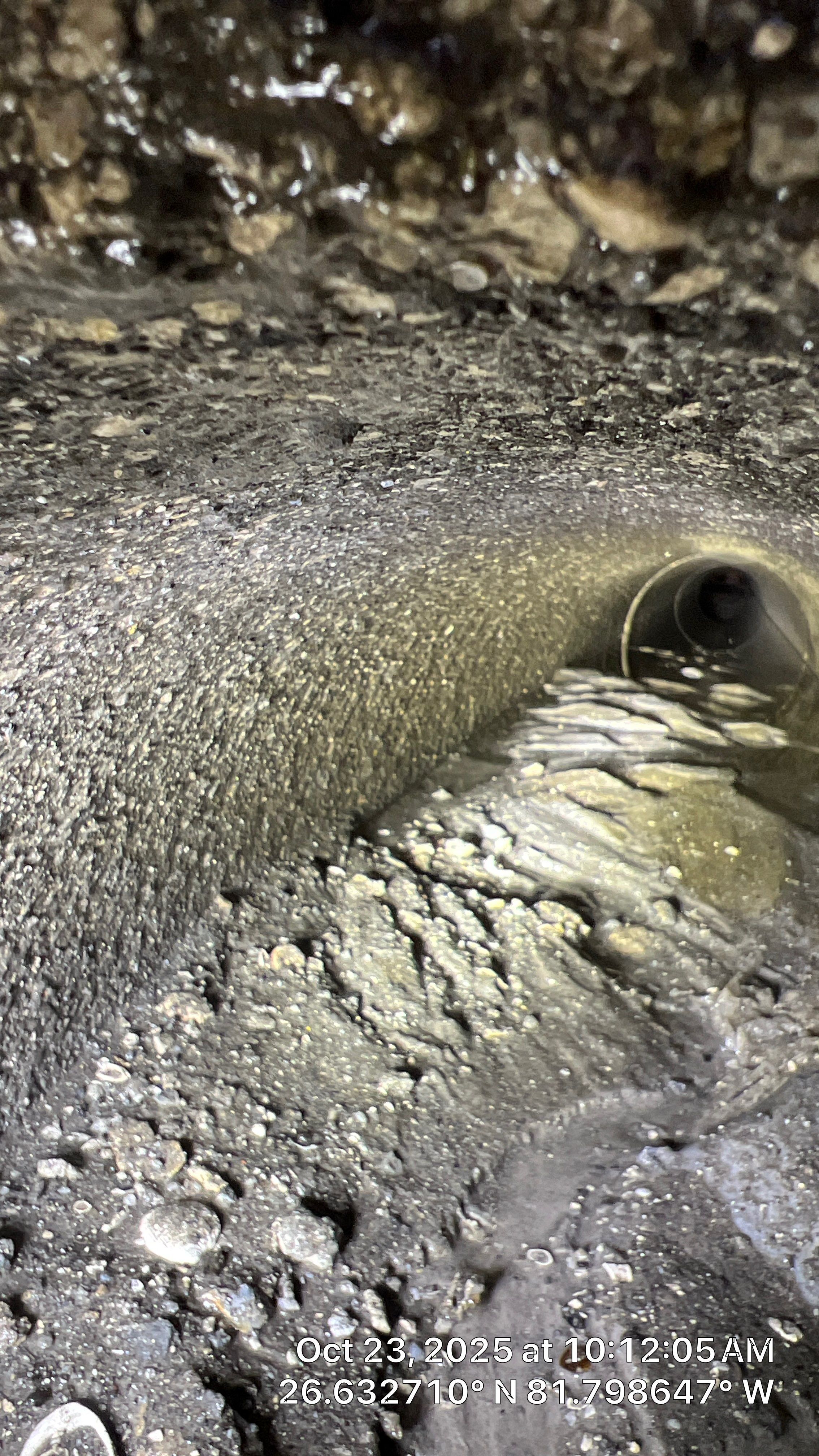 Coffee Rush Fort Myers with PRS by Don Mar, Inc. Storm Water Solutions