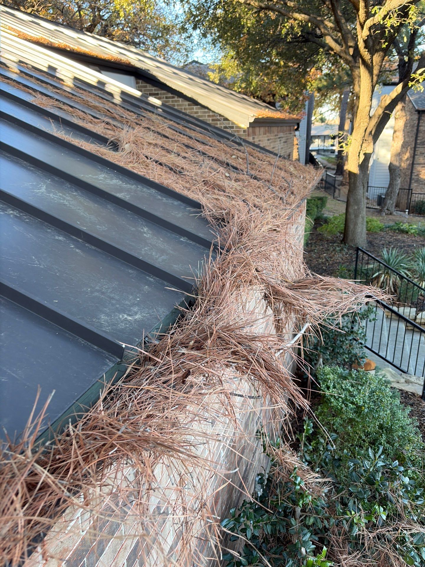Commercial gutter cleaning Denton, TX before photo with filled gutters