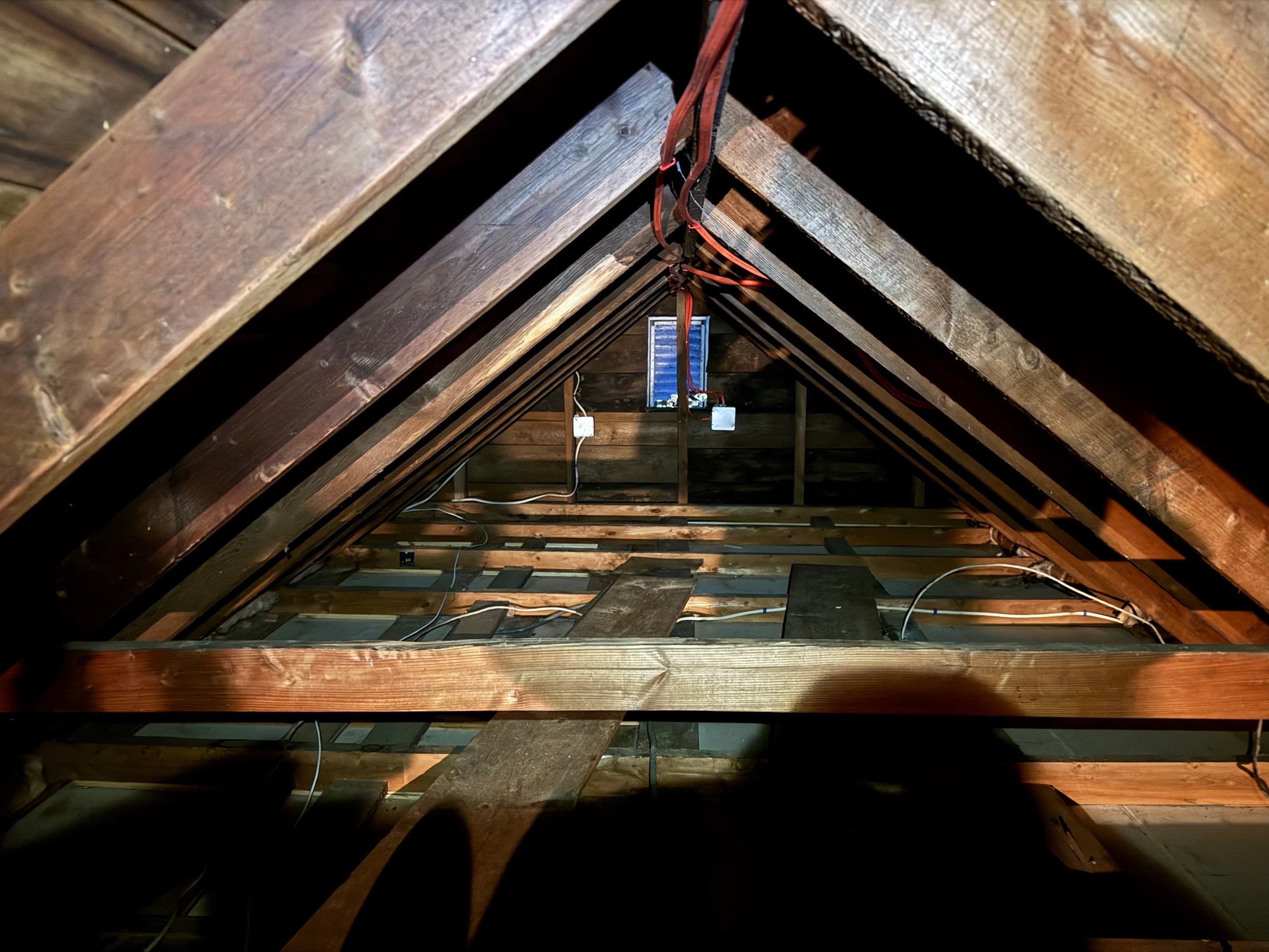 Attic Mold Remediation using Home Guarantee by Home Guarantee, LLC