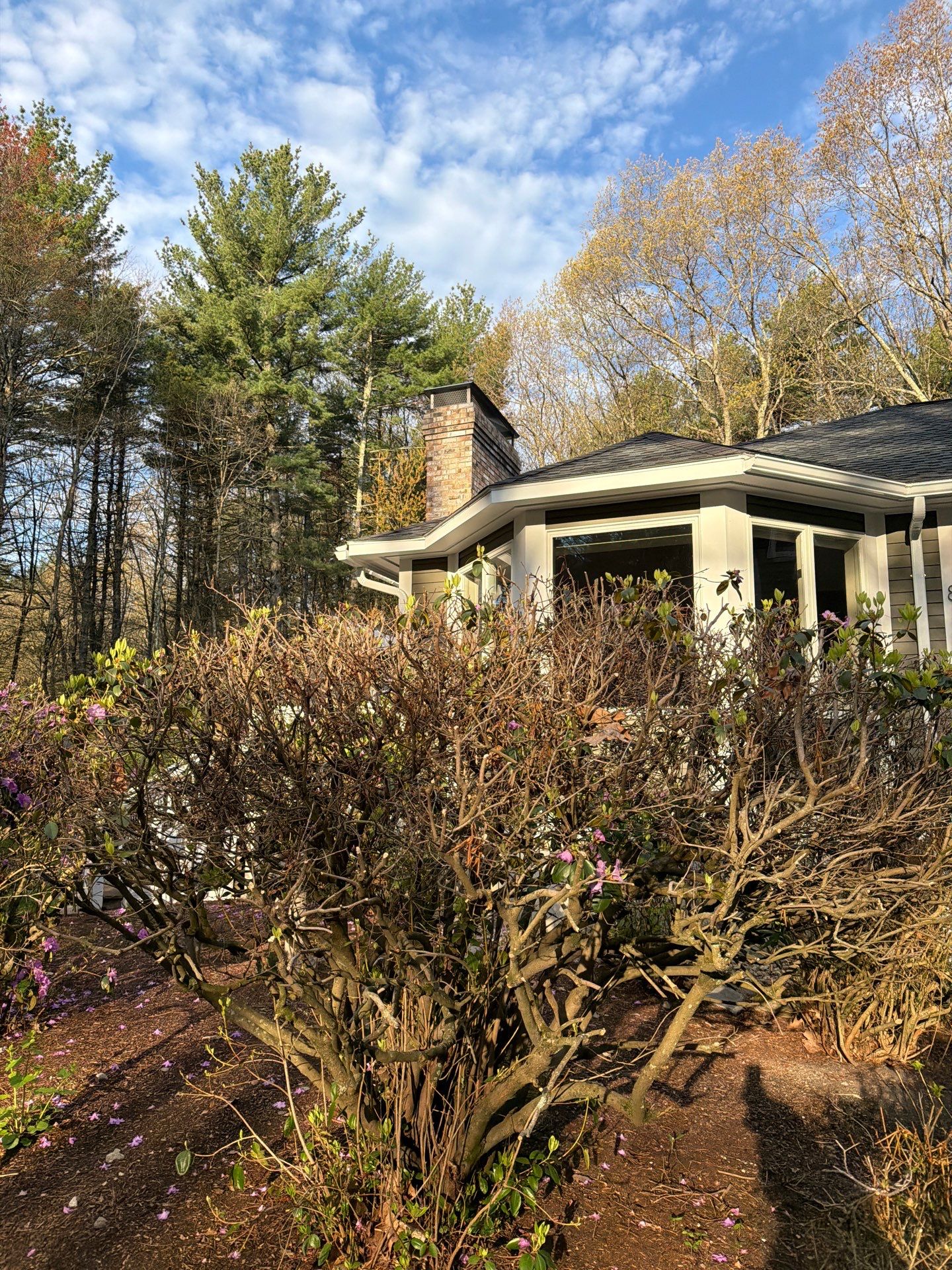 Full Roof Rebuild + Standing Seam + Active Attic Ventilation | Acton, MA by Mighty Dog Roofing of Greater Middlesex County