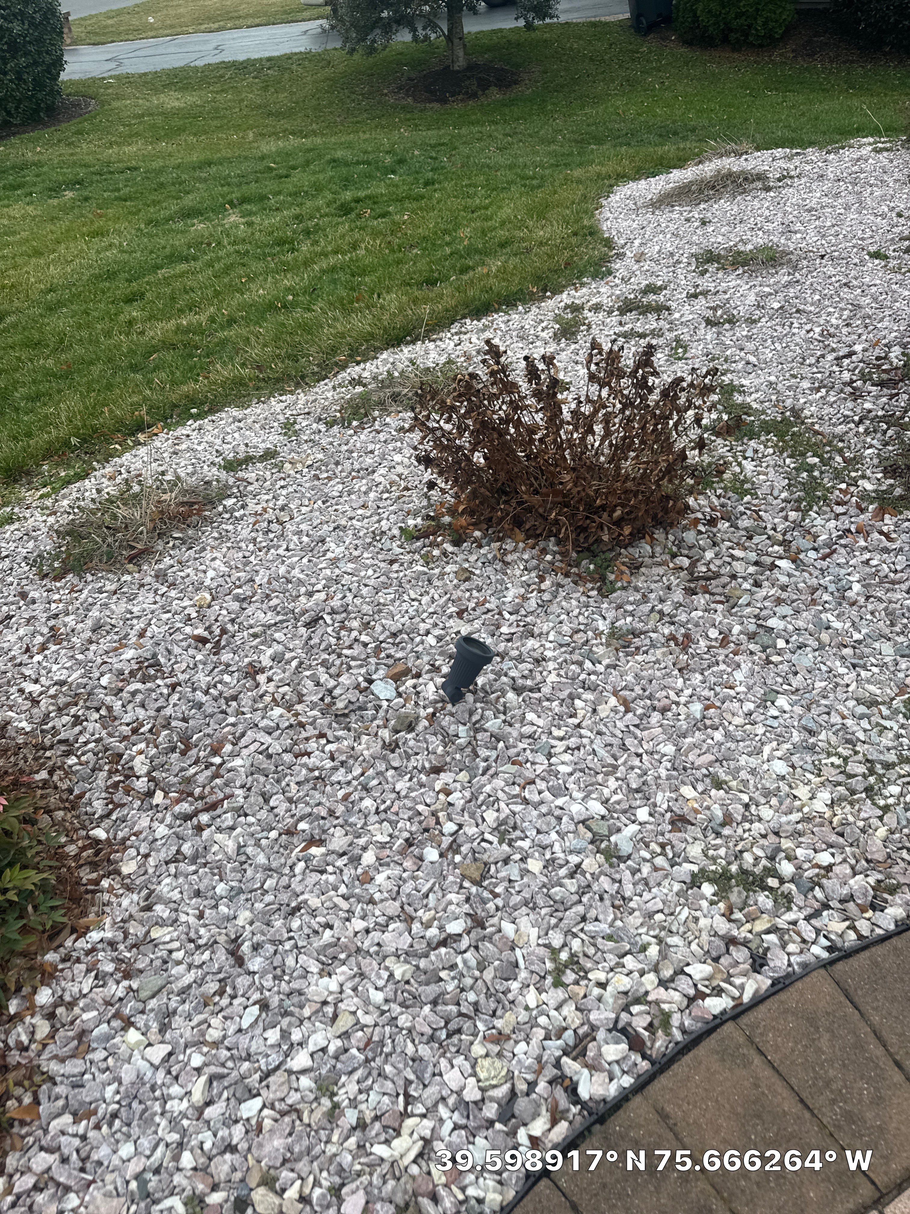 Project in Bear by Studio G Indoor Spaces & Outdoor Living