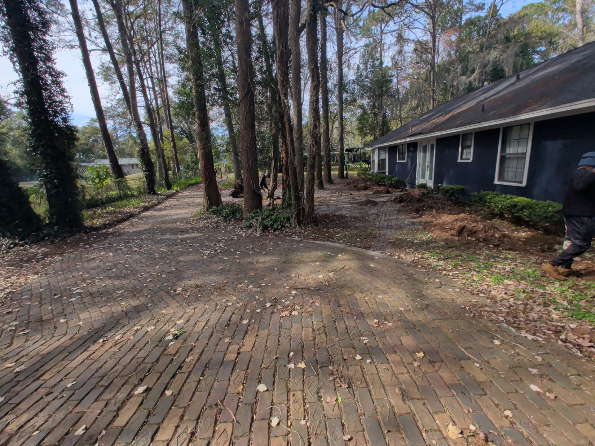 Large-Scale Leaf Removal & Property Cleanup — Jacksonville, FL (Southside Area) by Harmoni Home Services