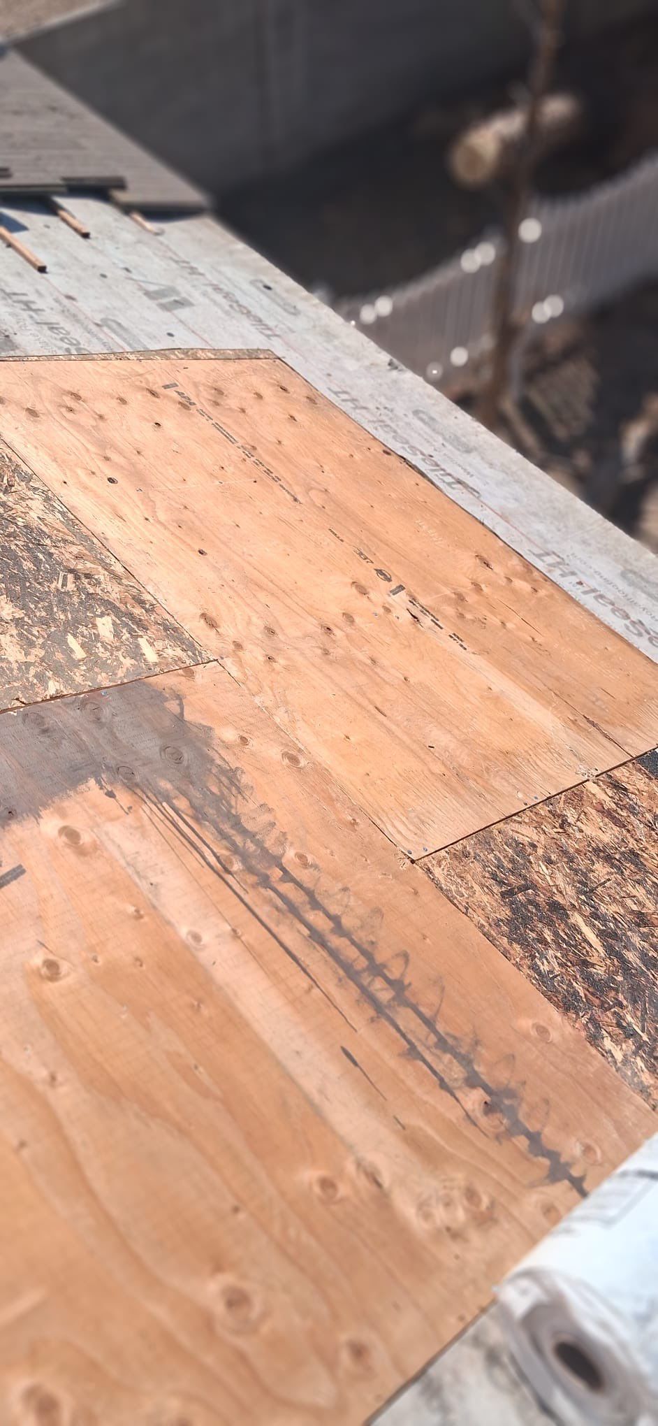 Monsoons storm blew tree down in Mesa, AZ by APM Builders LLC