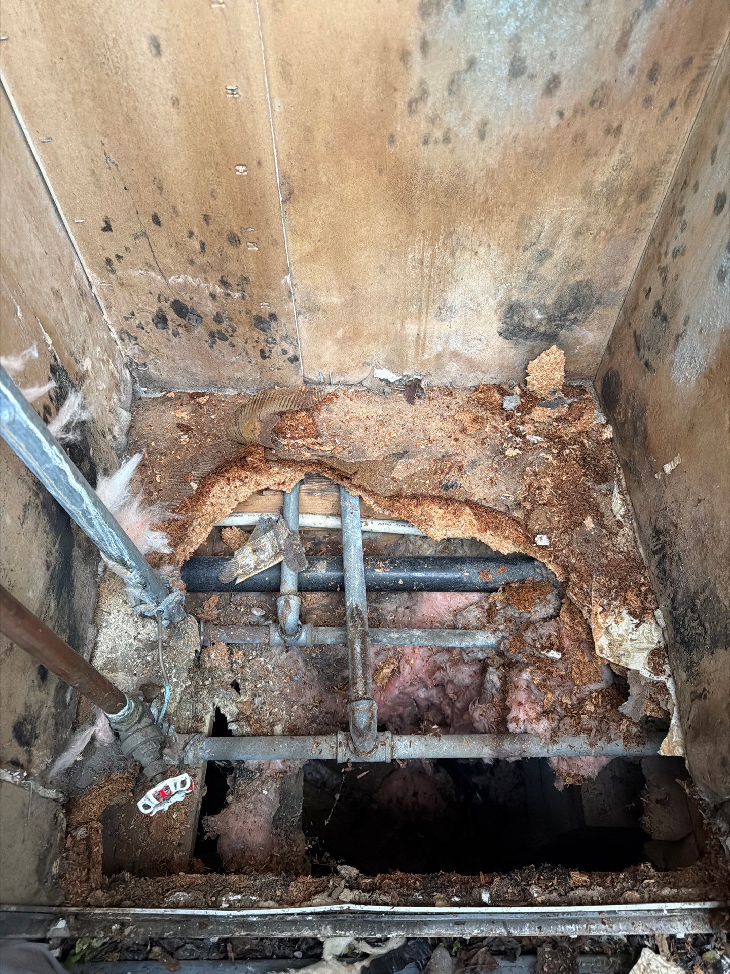 Floor restoration by Handyman State LLC