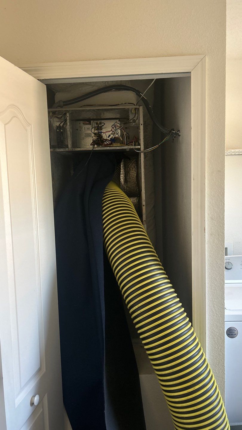 Air Duct Cleaning in Clermont by Hygienic Air, Inc