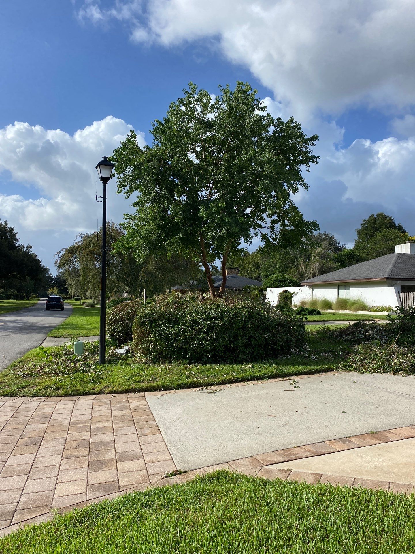Deerwood Residence | Extreme Clean Up by ProGreen Services