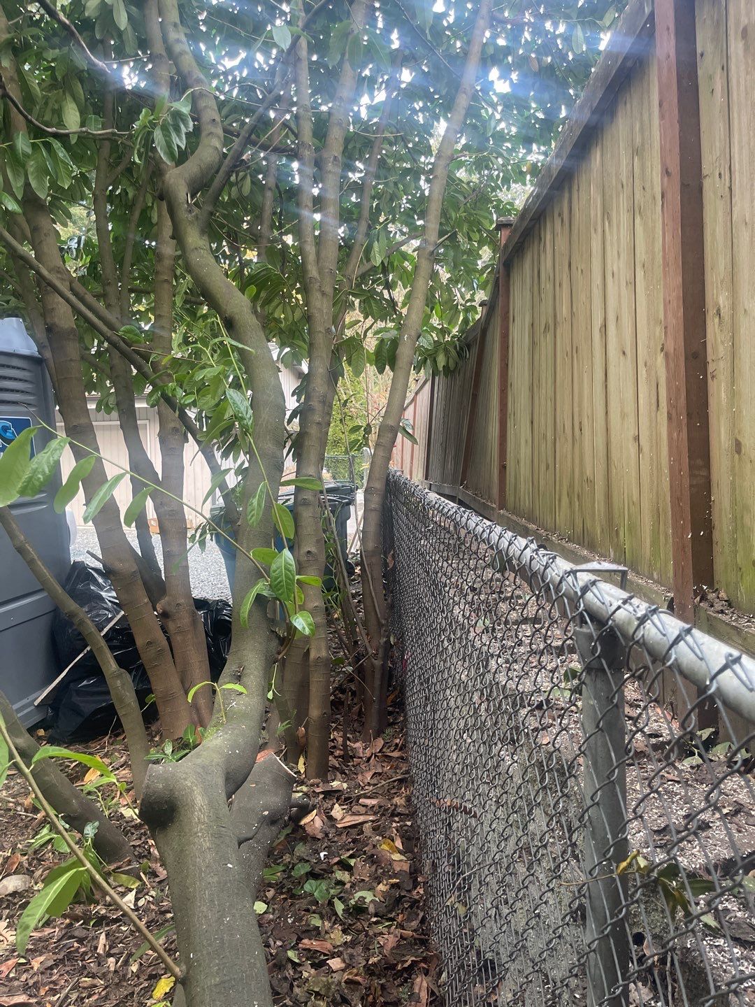 Tree Removal using Tree Removal by Mike Jones & Sons Tree Service LLC 