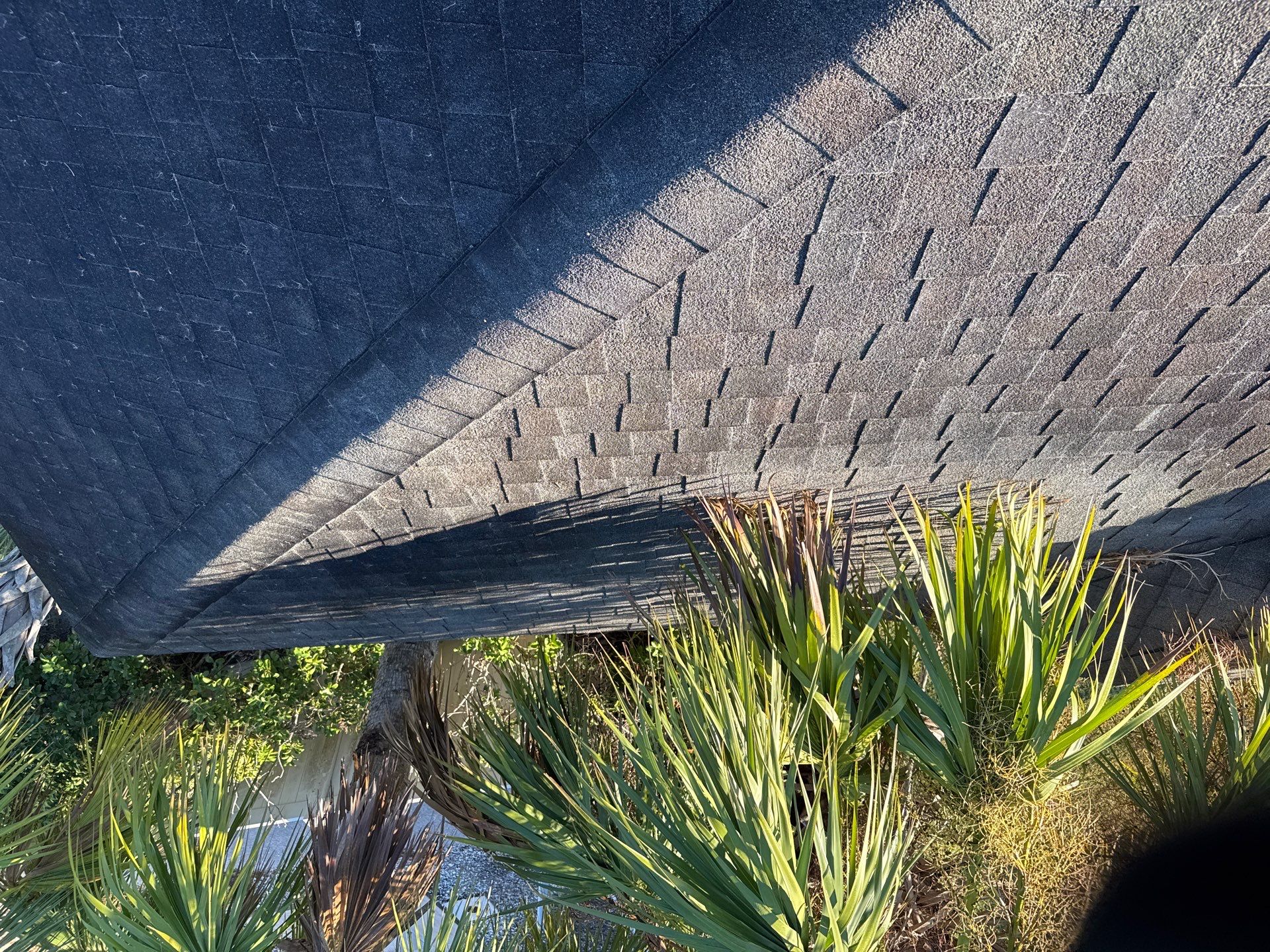 Asphalt Shingle Roof & Fascia Cleaning in Old Mill Preserve, Palmetto, FL | Sunshine AquaWash by Sunshine AquaWash