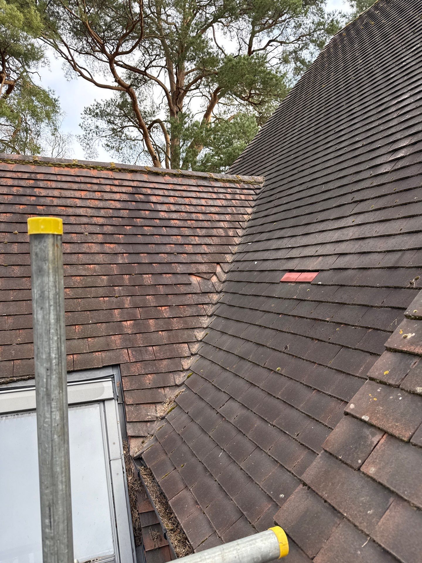 Roof Cleaning and Biocide Treatment using Softwash Equipment by Ges Exterior Cleaning ltd
