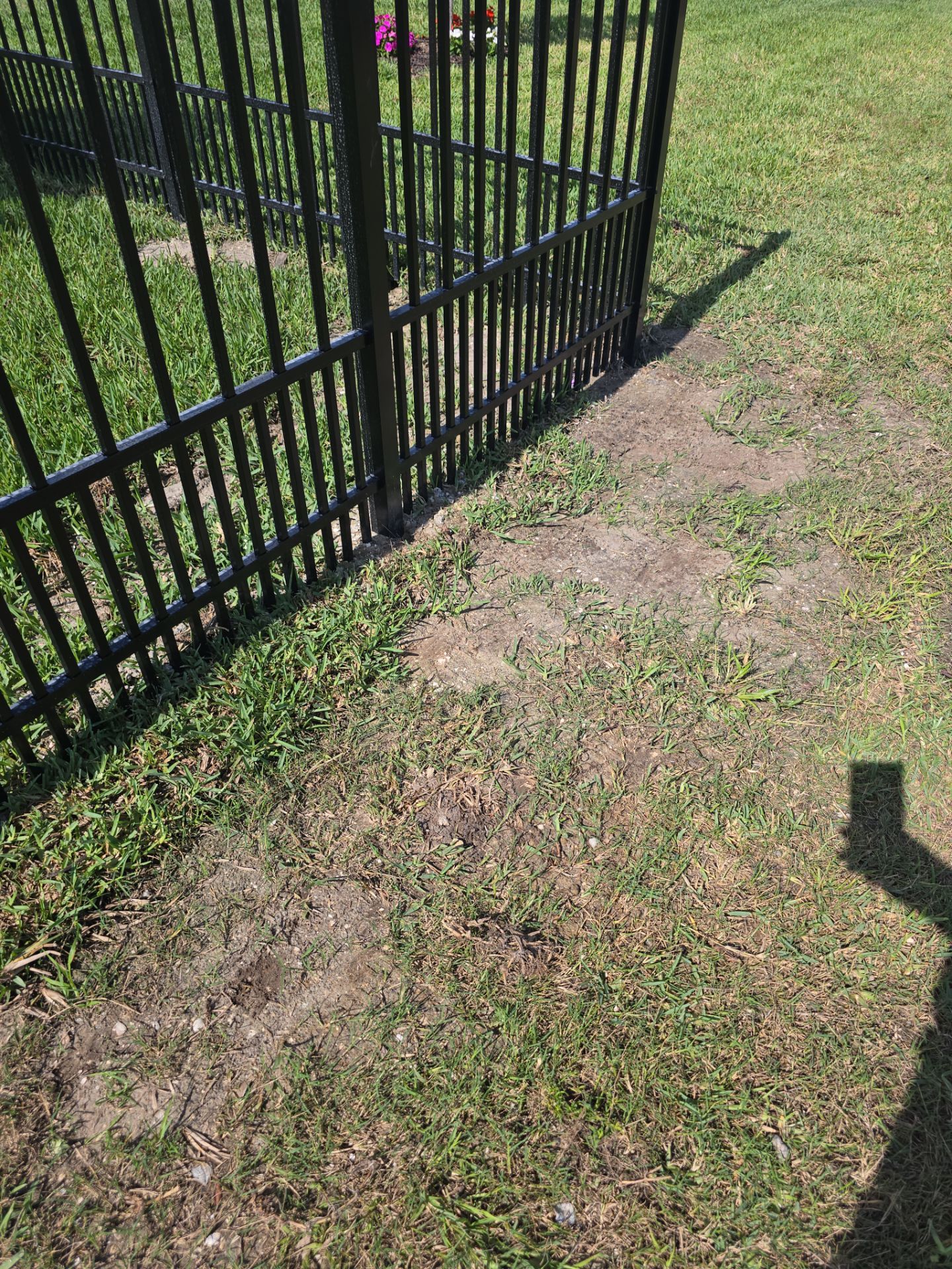 Puppy Picket Aluminum in Venice by True Fence LLC