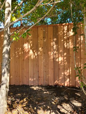 Nail-On & 6x6 Buddy Posts