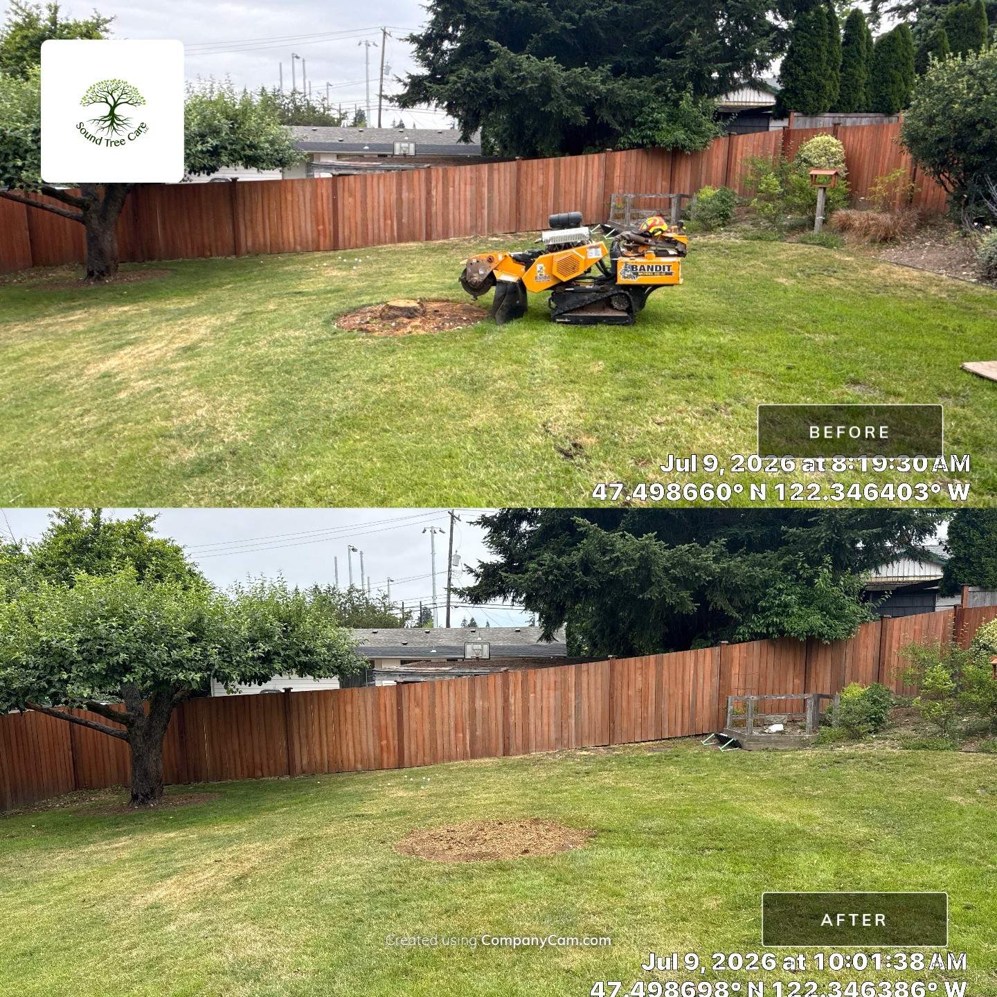 Seattle Stump Grinding & Lawn Restoration by Sound Tree Care LLC