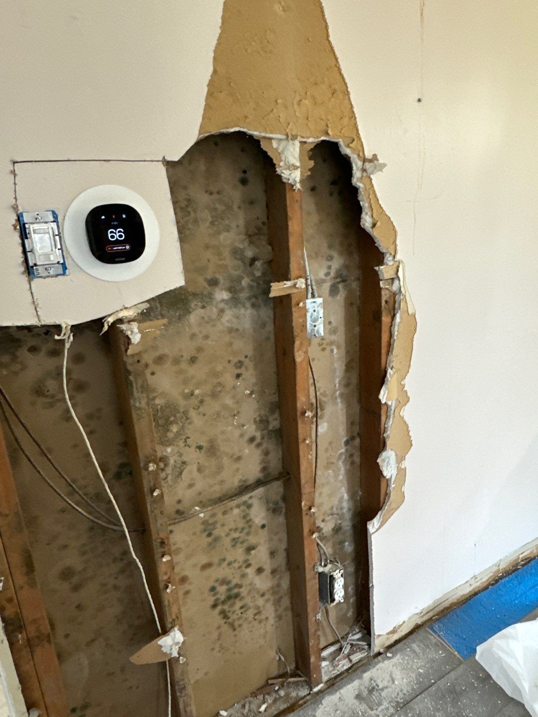 Project in Sterling Heights by EzDry Water Mitigation & Property Restoration