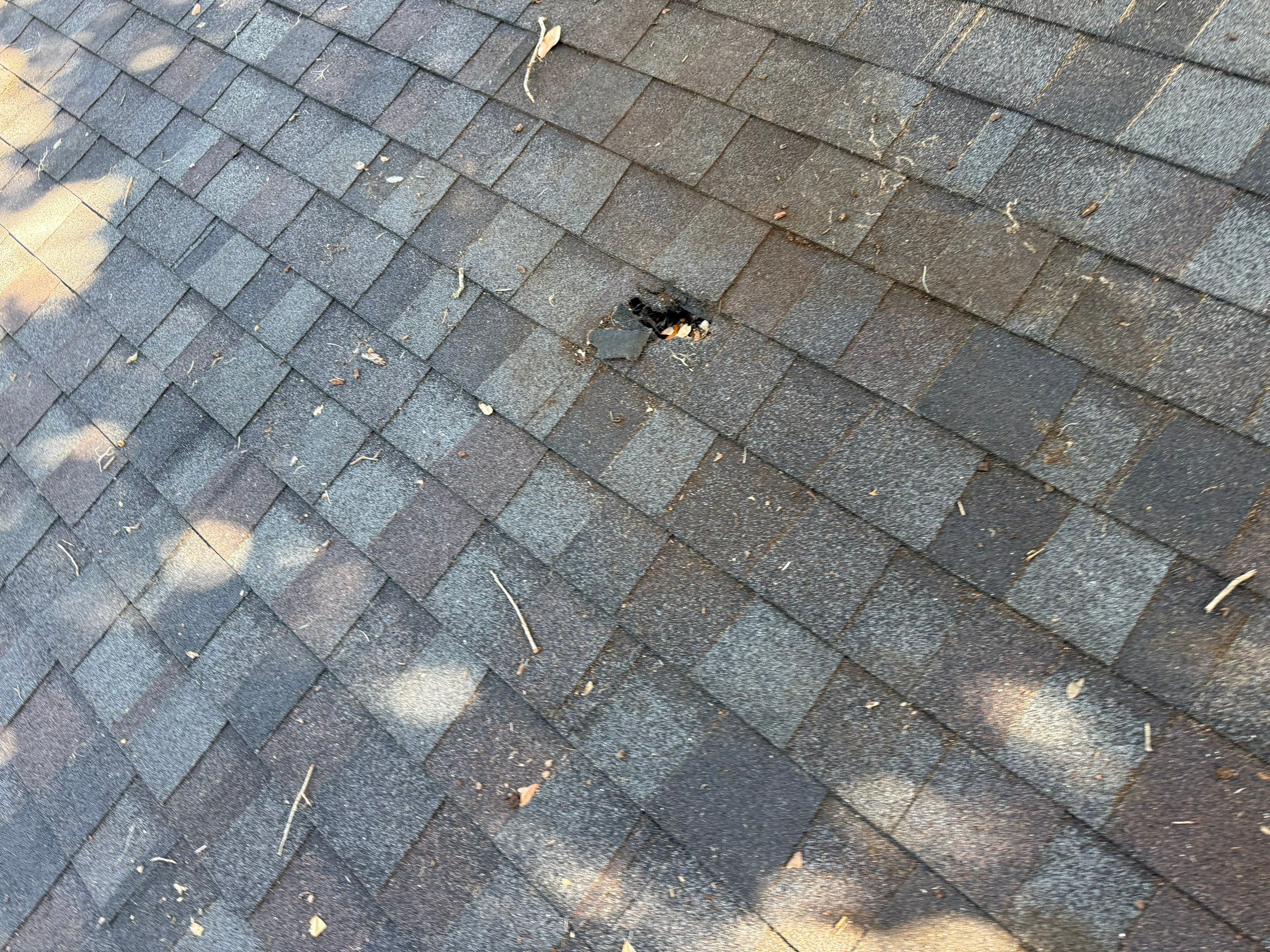 Project in Lakeland by You Restorations LLC DBA YOU-Home