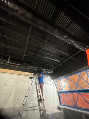 Commercial Building Mold Removal In Clearwater 