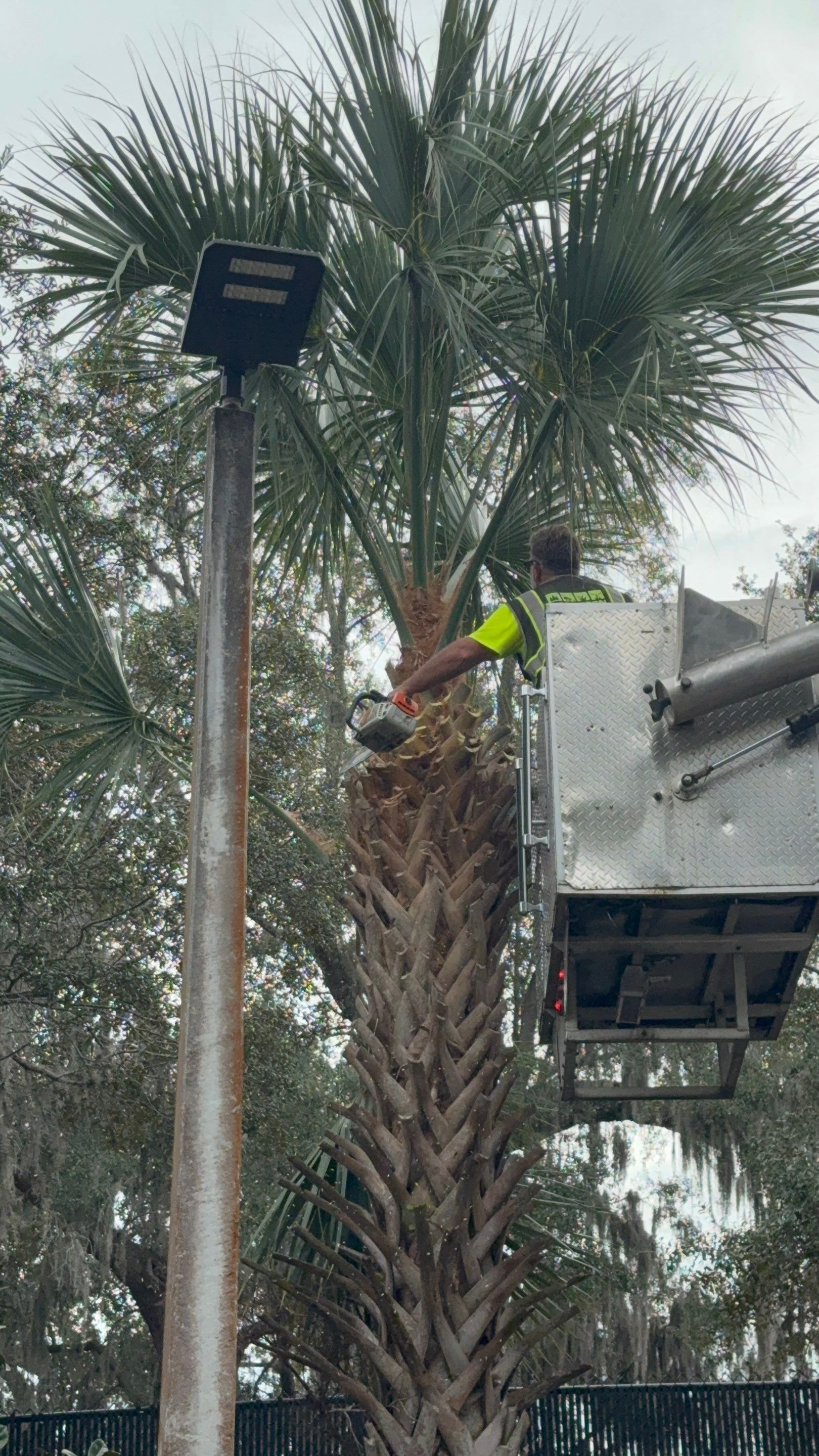 Volunteer Work | Episcopal High School of Jacksonville by ProGreen Services