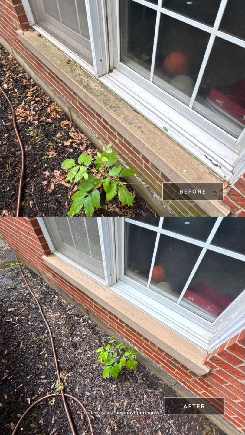 Project in Barrington by Simmons Power & Soft Washing