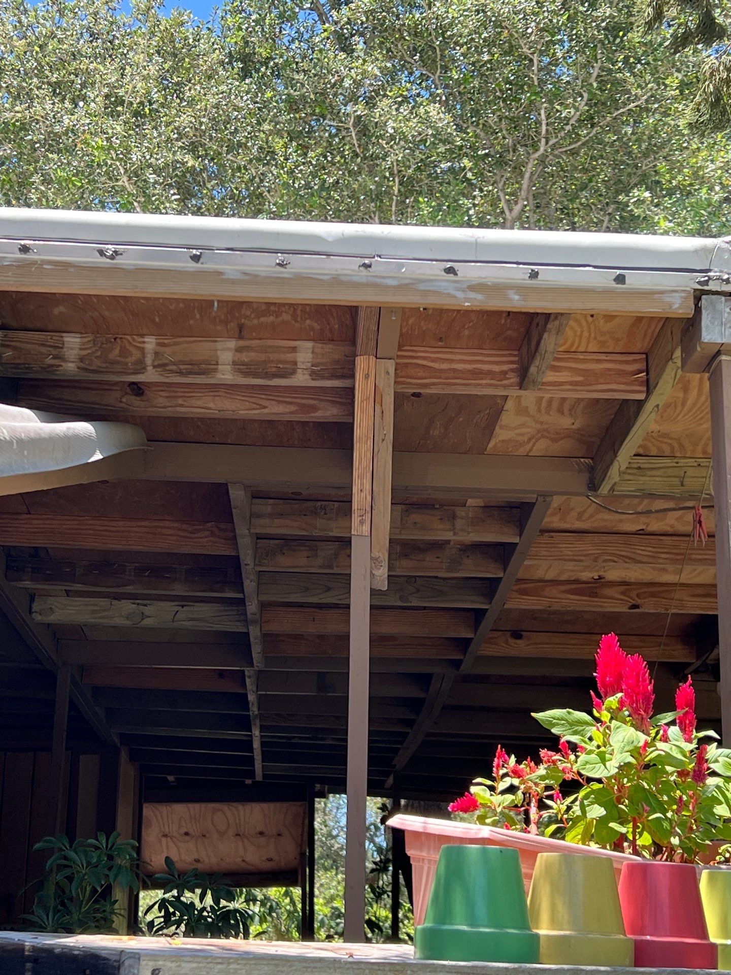 Cartoon Roof turned TPO Elegant by Bayfront Roofing and Construction
