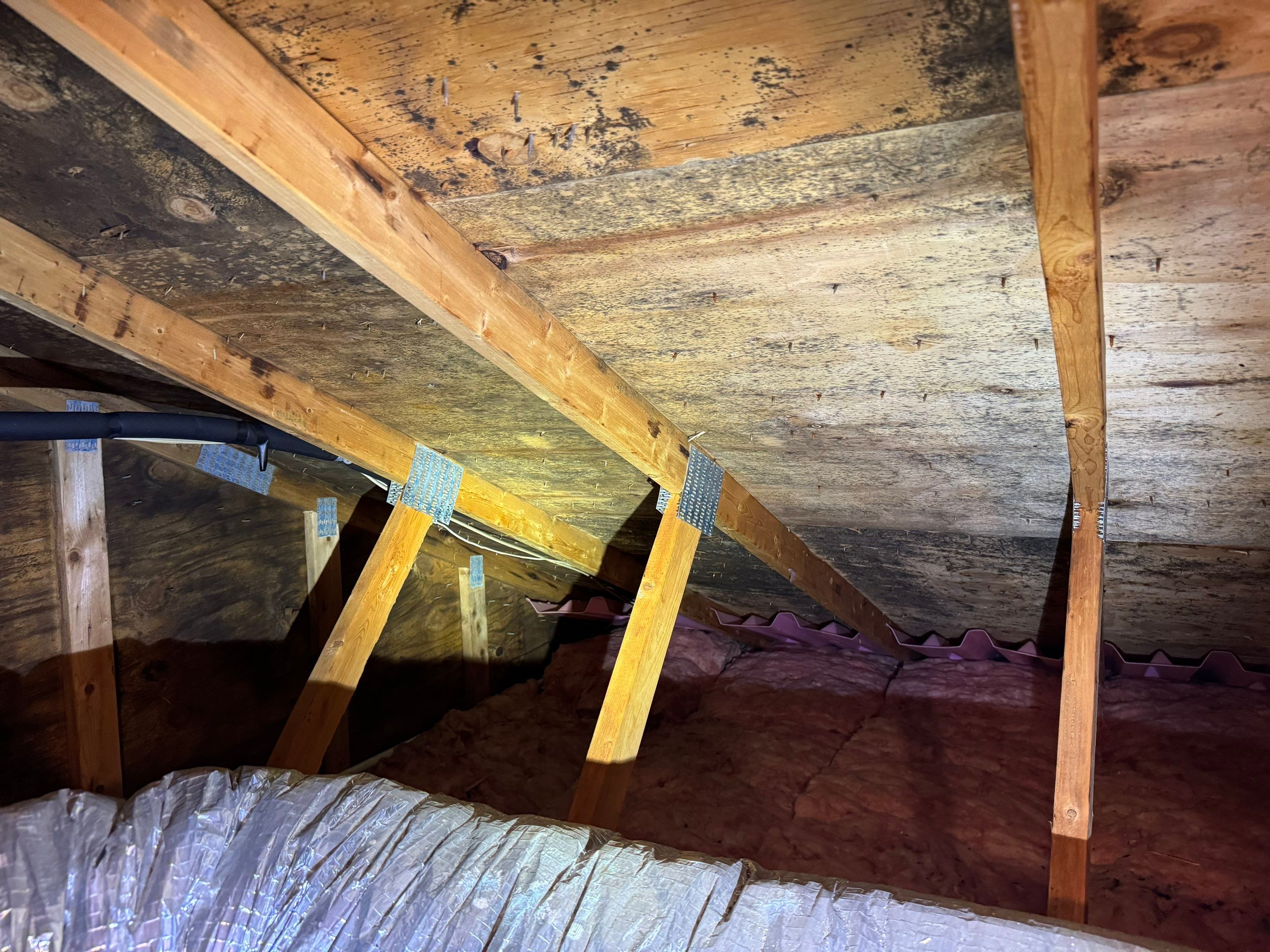 Attic Mold Remediation by Home Guarantee, LLC