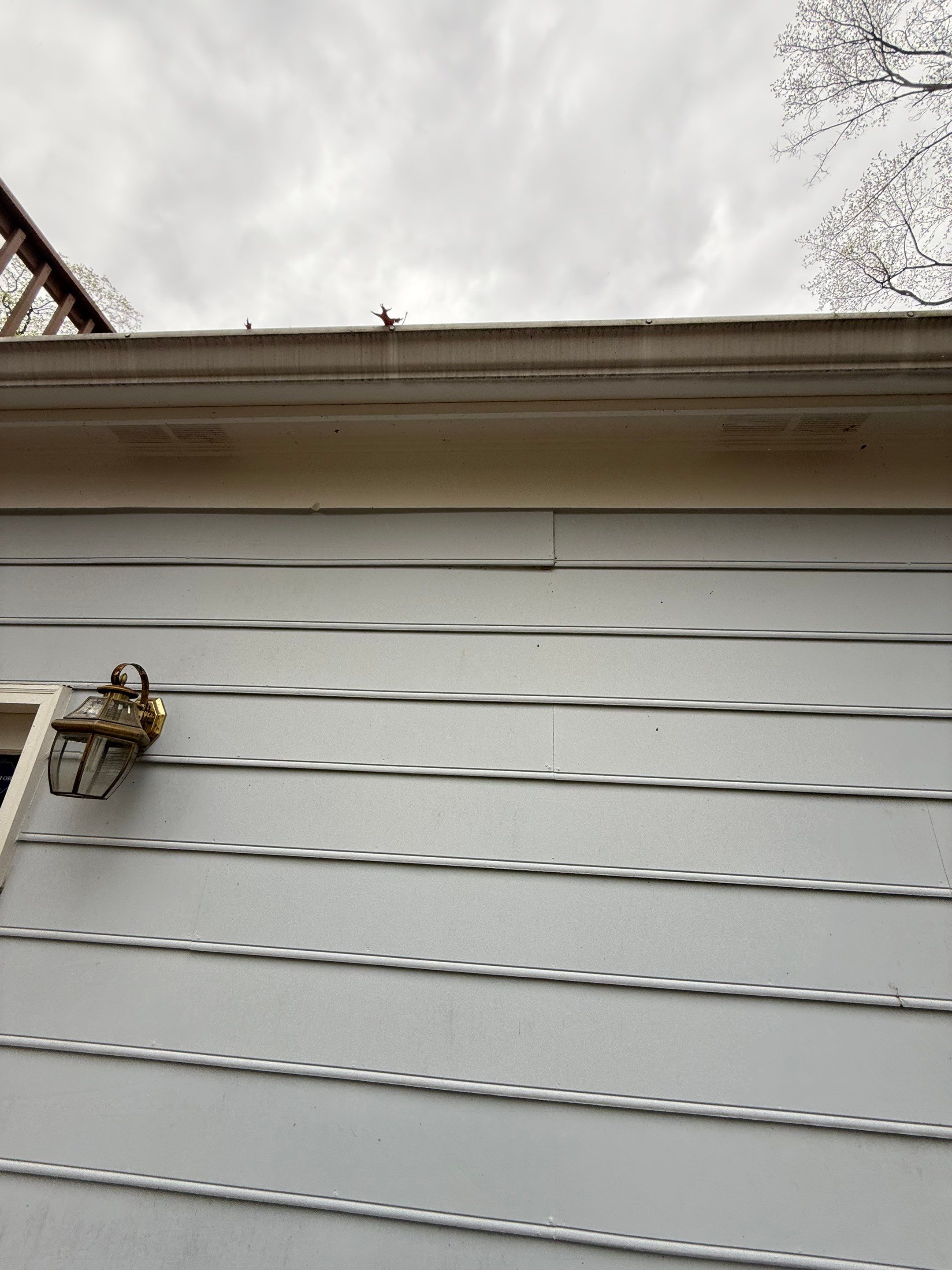 Exterior House Painting in Great Falls, VA by My Painter 