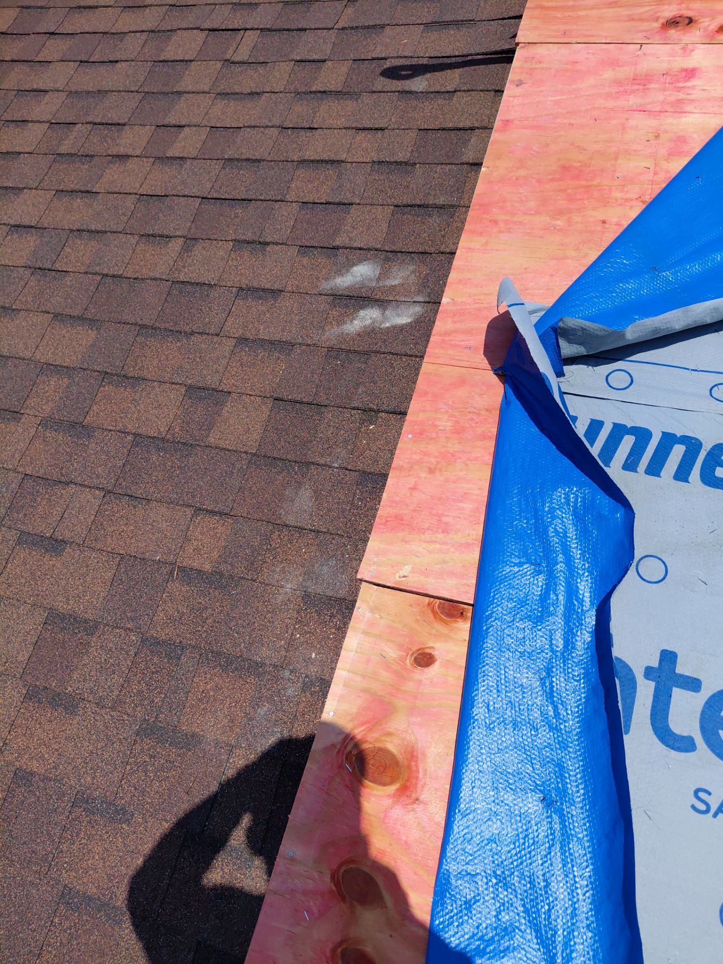 Alexandria: Residential Roof with CertainTeed Landmark Pro in Max Def Burnt Sienna by RM Banning, Inc.