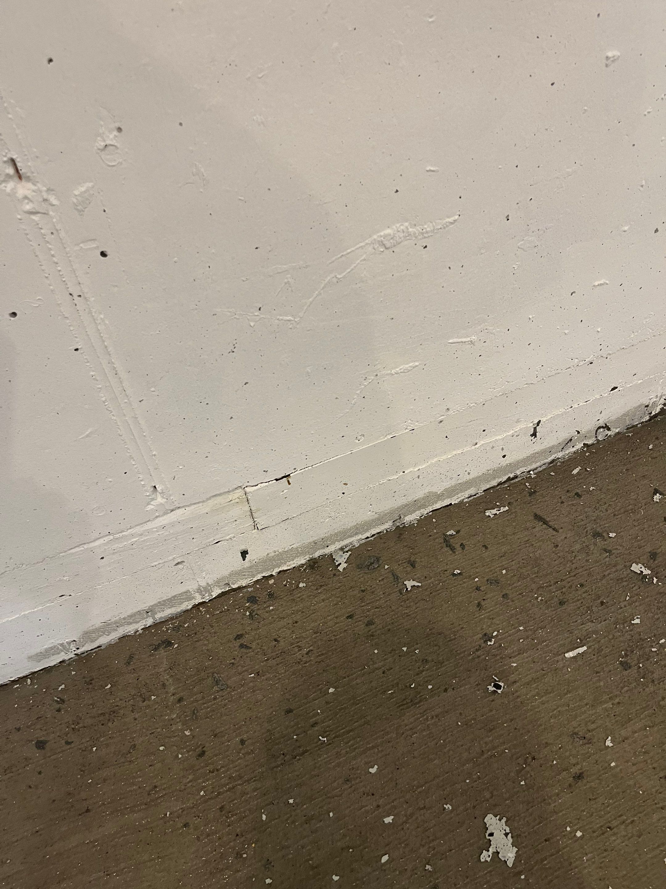 Durable Commercial Concrete Coatings for Brandon Valley Veterinary Clinic by Select Painting, Coatings & Garage Cabinets