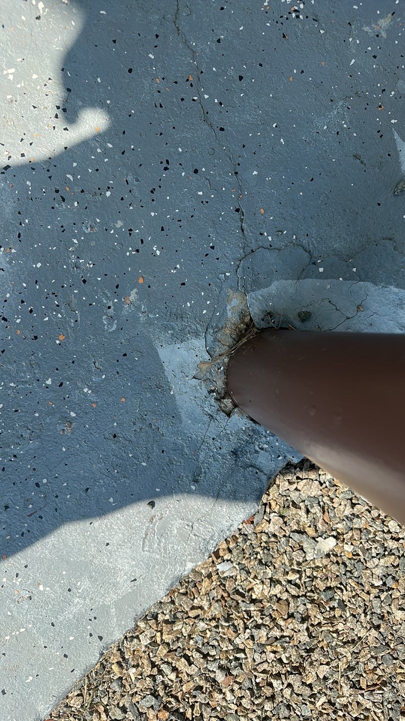 Kenney Walkway TransFLOORmation by Symphony Concrete Coatings