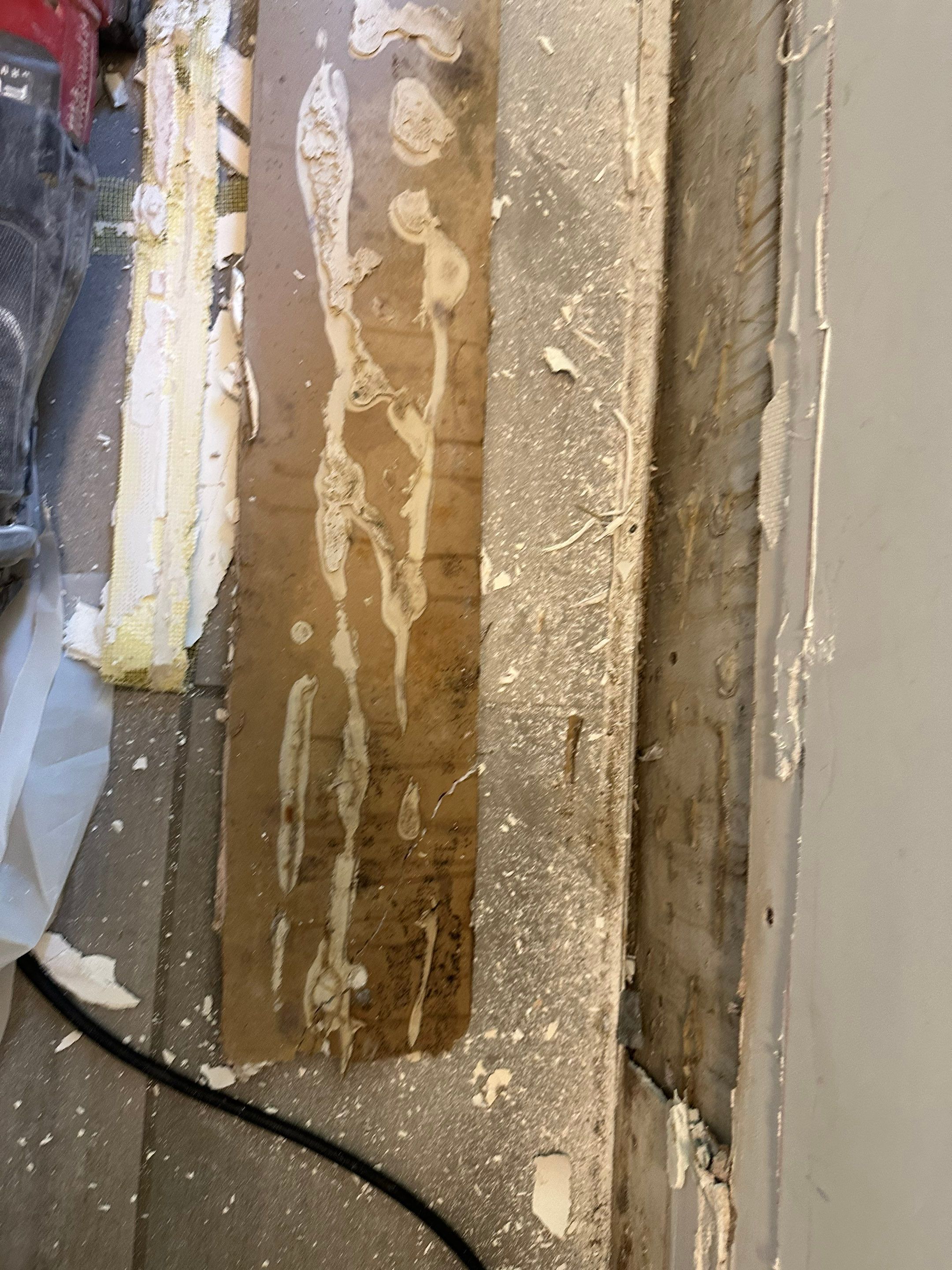 Water Damage in Denver, CO by Alpha Restoration 