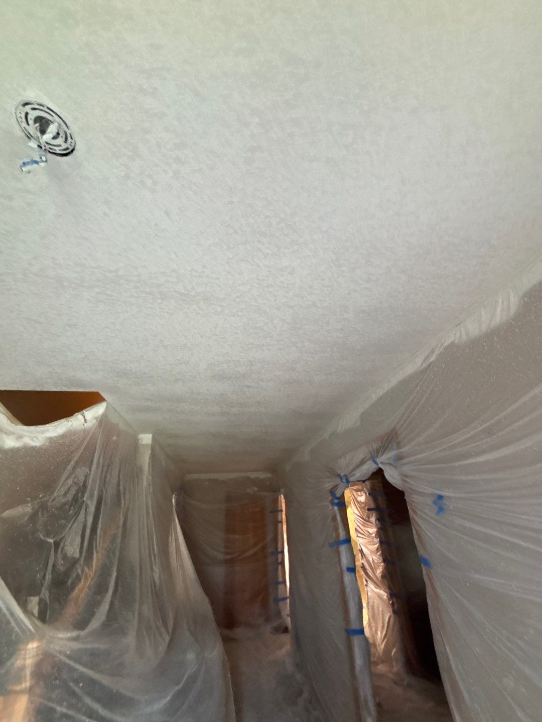 Level Up Your Ceiling: Texture Removal & Refinishing by Cougar Painting