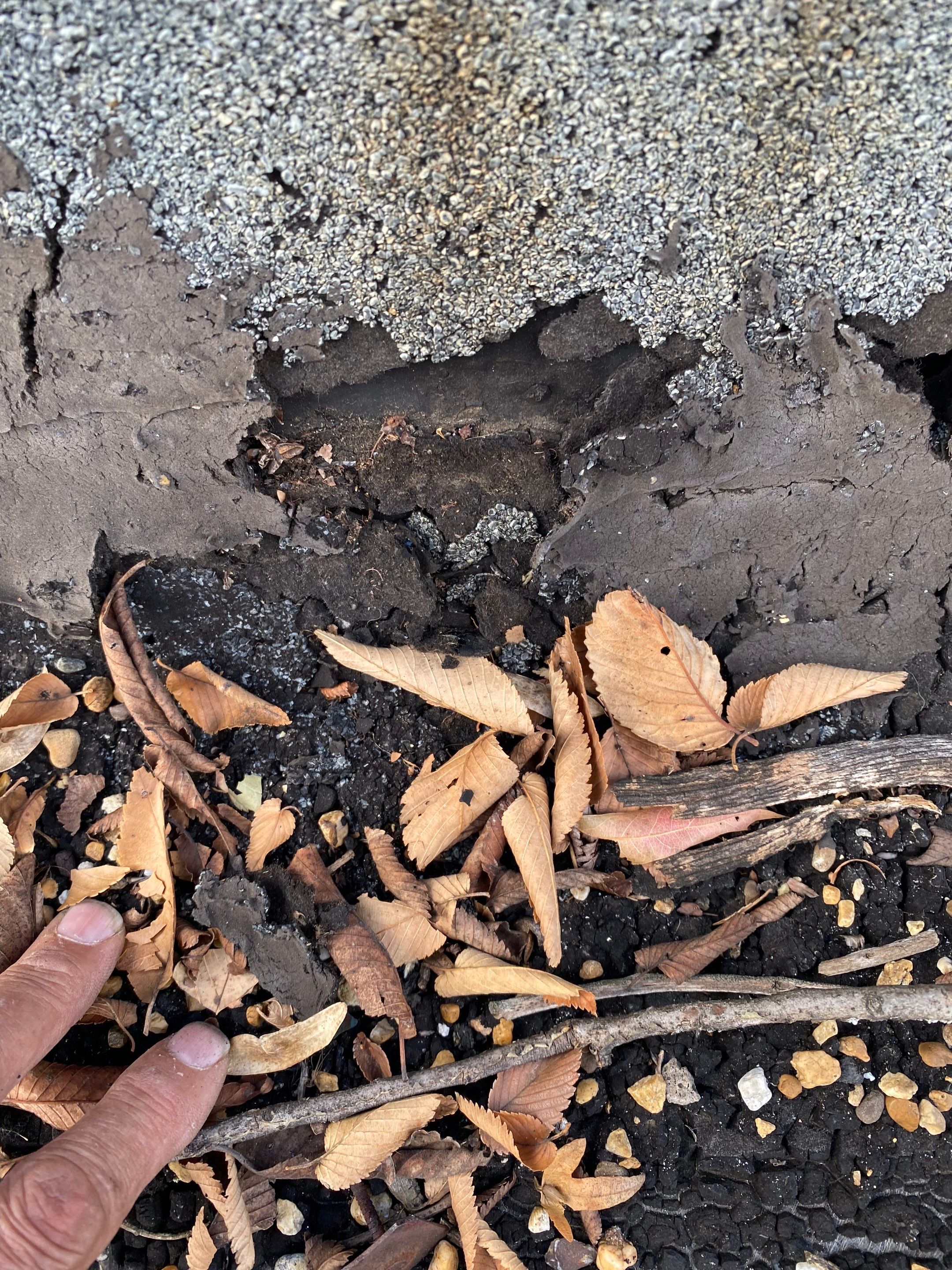 Alexandria: Residential Flat Roof Replacement with Mule Hide TPO Membrane by RM Banning, Inc.