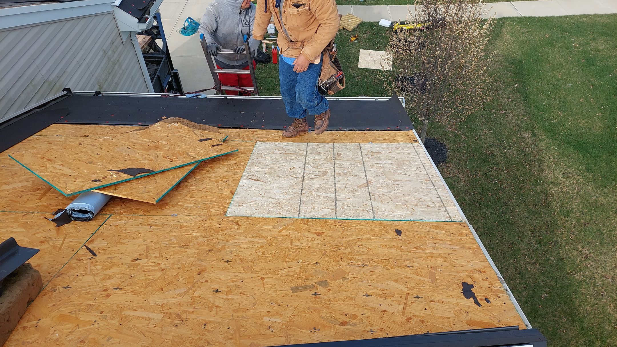 Majestic Shake by Tamlin Roofing
