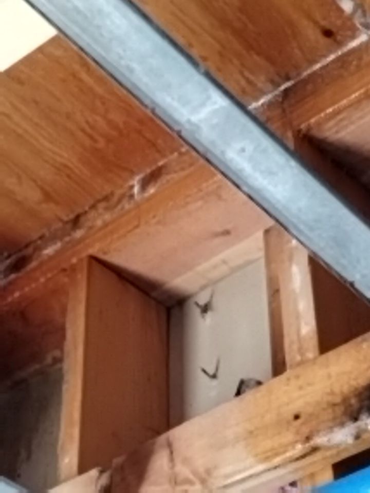 Water Damage by Accountable Home Services