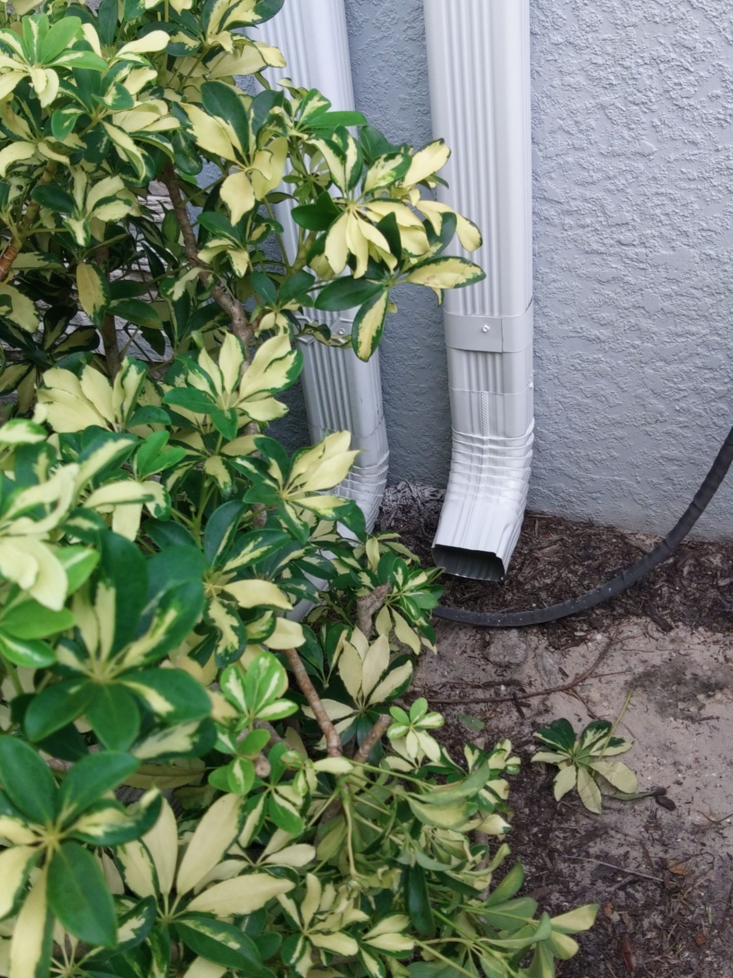 Gutter Repair & Replacement in Fort Myers FL by Gutter Professors