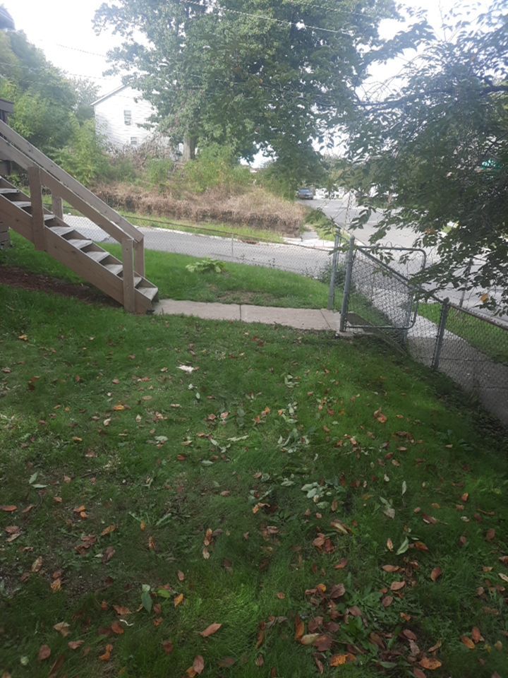 Tree Removal using Tree Removal by Mike Jones & Sons Tree Service LLC 