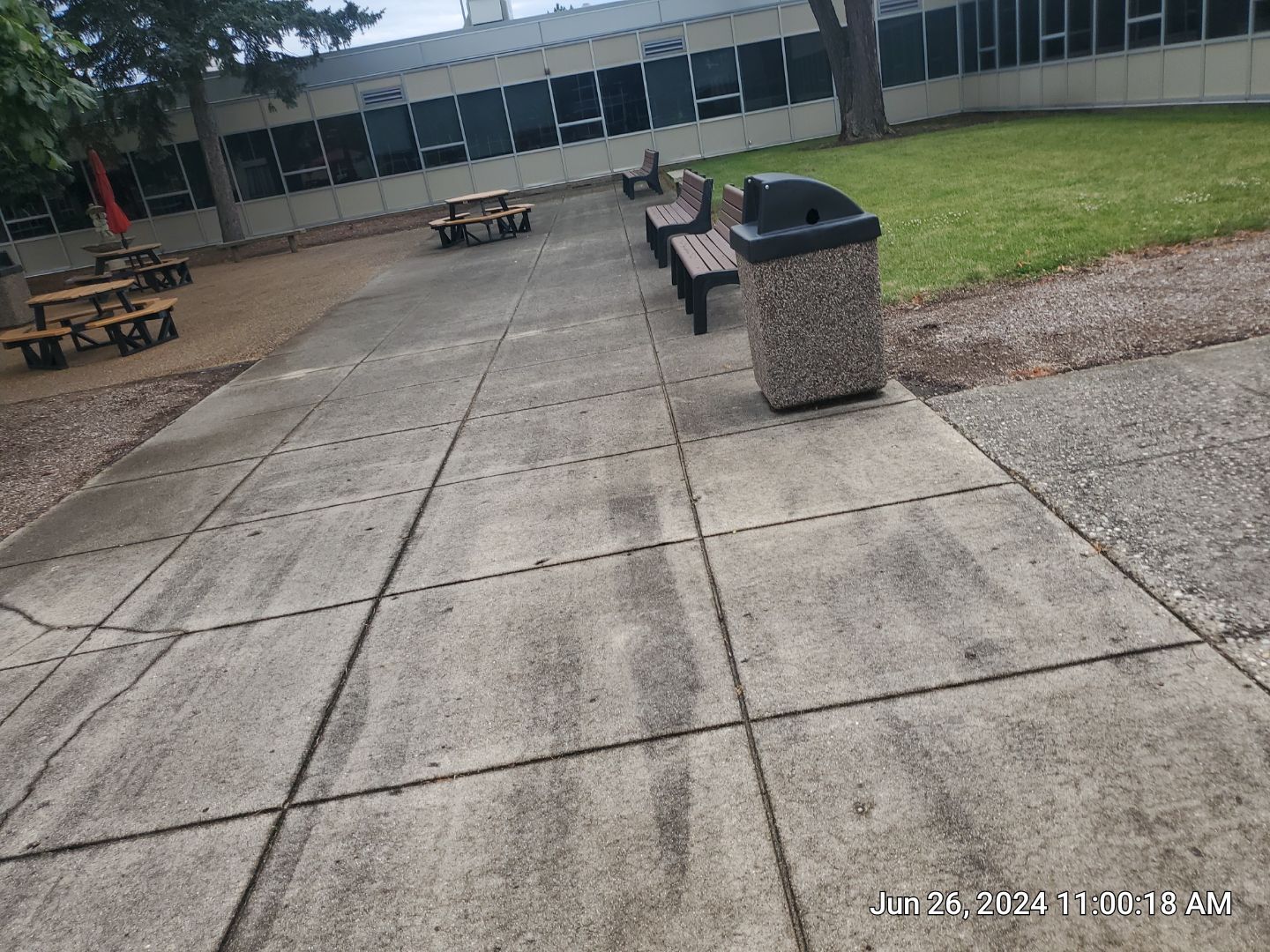 concrete using Algaecide, soft wash soap by Northern Power Washing LLC.