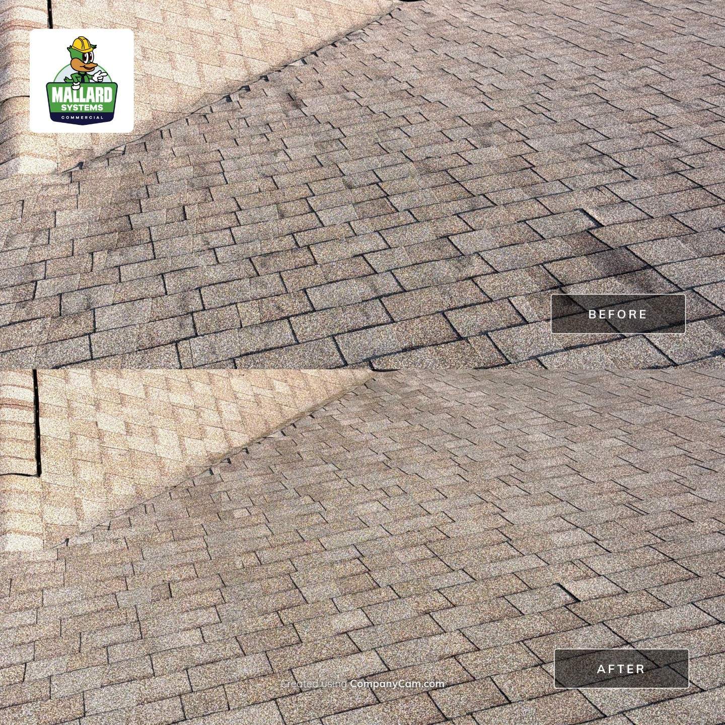 Residential Roof Cleaning in Hunters Creek by Mallard Systems